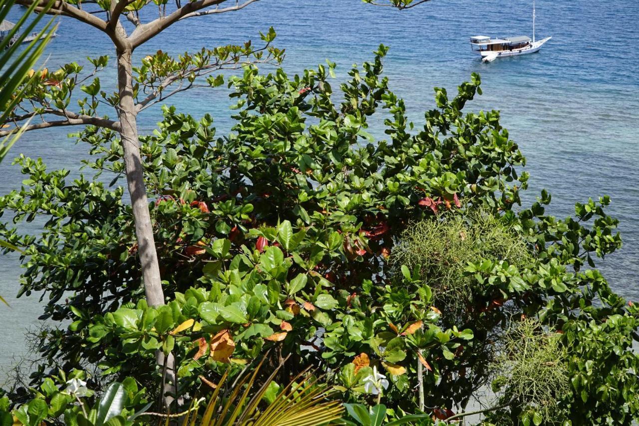 Waecicu Eden Beach Hotel Labuan Bajo Exteriör bild